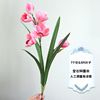 Simulatory Cymbidium 3D Print Orange Found Moisturizing Simulation Great Cymbidium Living Room Table Decoration Fake Flower Wedding Wedding