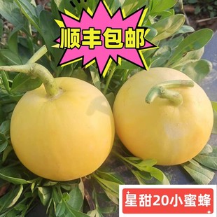 ����20С�۷�����۹ެFժ�Ȱl��S���]�����^���d��С�۹����