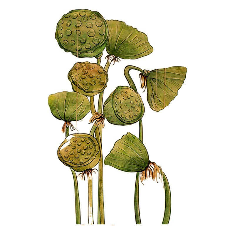 [Lotus] Печать бамбуковая занавеска перегородка Zen декоративный узор бамбуковая занавеска китайская чайная занавеска