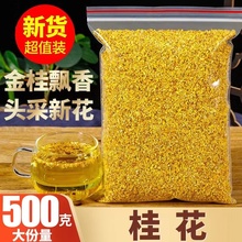 散装广西食用桂花茶/非级桂花花草茶厂家/干桂花各种规格