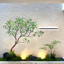 �߶˾�Ʒ�����R��ľ�҃ș����Ƶ���Ø����·���Gֲ�쾰�M���b�