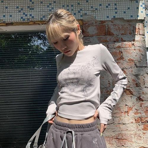 Y2K European & American 2025 Autumn Retro Streetwear Printed Personalized Daily Casual Long-Sleeve Crew-Neck T-Shirt Top for Women