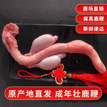 ¹�l���r¹��¹�lֱ�l�ݾƕ���ͶY¹�lֱ�N���r¹��һ�����l���l