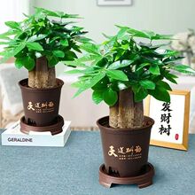 ؔԴ�L�L���U�lؔ������ֲ���҃��k���Һ��B�Gֲˮ��͏dС�辰