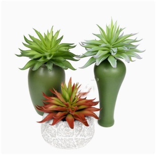 ����������ֲ�� �Gɫֲ�����DIY�M�����Կ͏d�Ҿ��Ʒ�[��