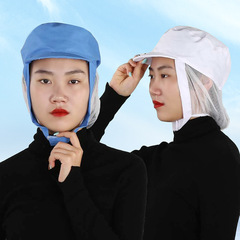 Hygienic shawl cap dustproof anti-hair loss work cap dust-free workshop shawl bag head cap food factory work cap wholesale