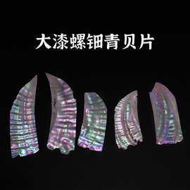 真质贝壳 大漆螺钿青贝片螺钿片乐器首饰盒镶嵌雕刻漆器制作材料