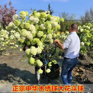 ���Aľ�������ش�̖�Ϙ��������W�tֲ������U����ͥ�@ˇ