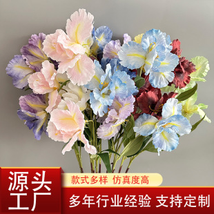 3�^���Sβ���L֦ Ī��ɫϵ���滨��c��Y�Ҿ��b���c��Y������