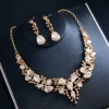 D447 champagne color