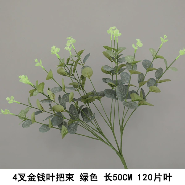 4 fork money leaves are green