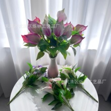 ��5�^PU�ָ��R��ɏ���滨�羳���Q��c��Y��ӆ���粼���Ĕz����