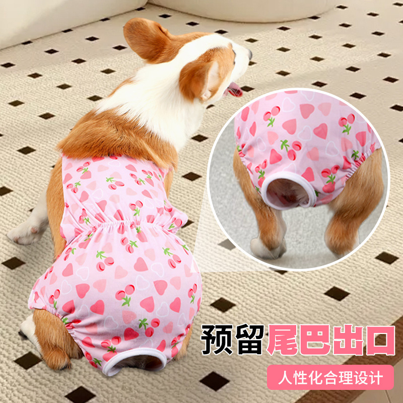 狗狗生理裤月经期卫生巾中大型犬金毛拉布拉多防骚扰狗狗姨妈裤母