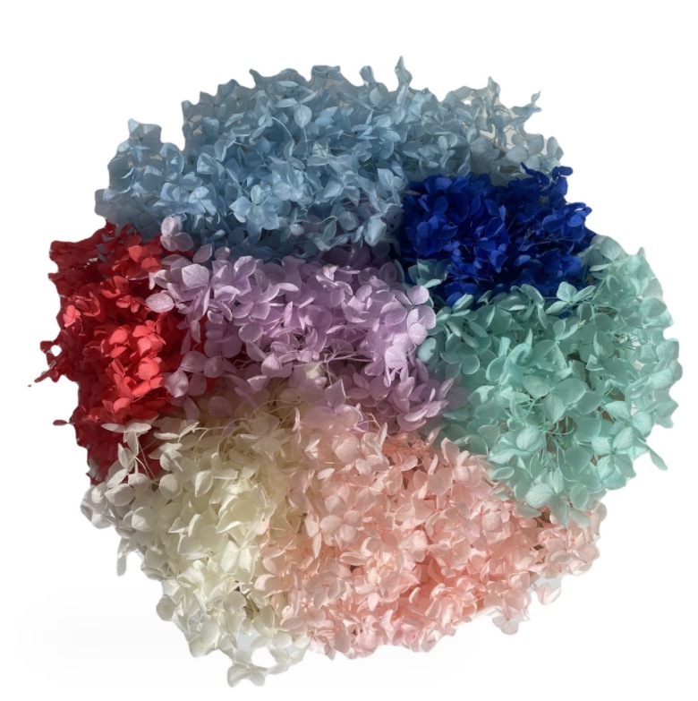 微信截图_20231203172841