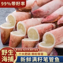 ���rȫ���ў����Ѻ����ӝM�ў��~�P���~ī�~���~��צ�~���~���l