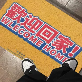 入户进门丝圈地垫网红潮品店卡通门垫子客厅门口防滑脚垫家用地毯