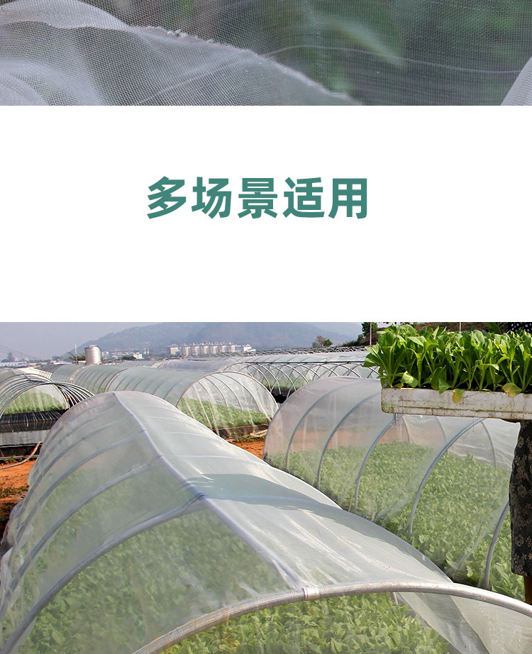 微信图片_202501161913301