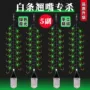 七星钓鱼杀手新款钓组