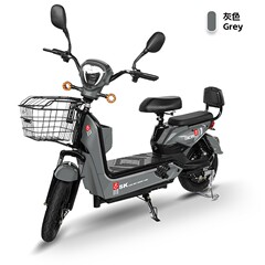 源头工厂批发两轮成人电动车跨境直销电动自行车和轻便双人电瓶车