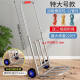 Small Trolley Folding Home Carrying Trailer Shopping Shopping Stall Trolley Artifact Light Portable Luggage Trucks