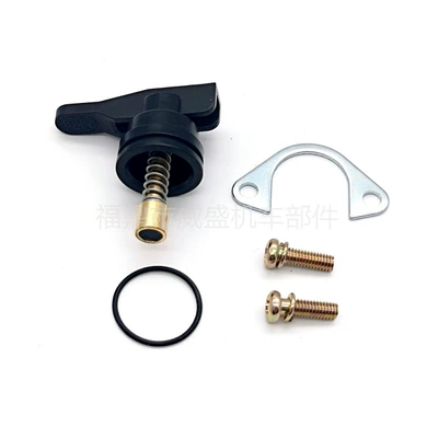 Carburetor Suitable for Dellorto Manual