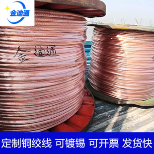 Wholesale Soft Copper Stranded Wire Lightning Protection Grounding Tjr1 Oxygen-Free Bare Copper Stranded Wire 200 Flat 500 Flat 1000 Hard Copper Stranded Wire