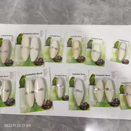 其他药食同源;鸟食