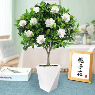 ���U�d�ӻ����Ԏ������Ϙ�����������~ĵ���������̨�����ͻ���