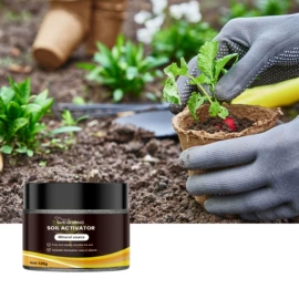 身体护理套装;其他美妆工具;头皮护理用品