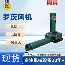 �_���L�C�S��ֱ�N����������������������Y���o�����~�_���L�C