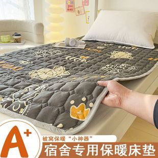 Mattress Class a Tatami Mattress Single Bed for College Students Dormitory Bunk Bed Double Bed Breathable Cross-Border Bestseller