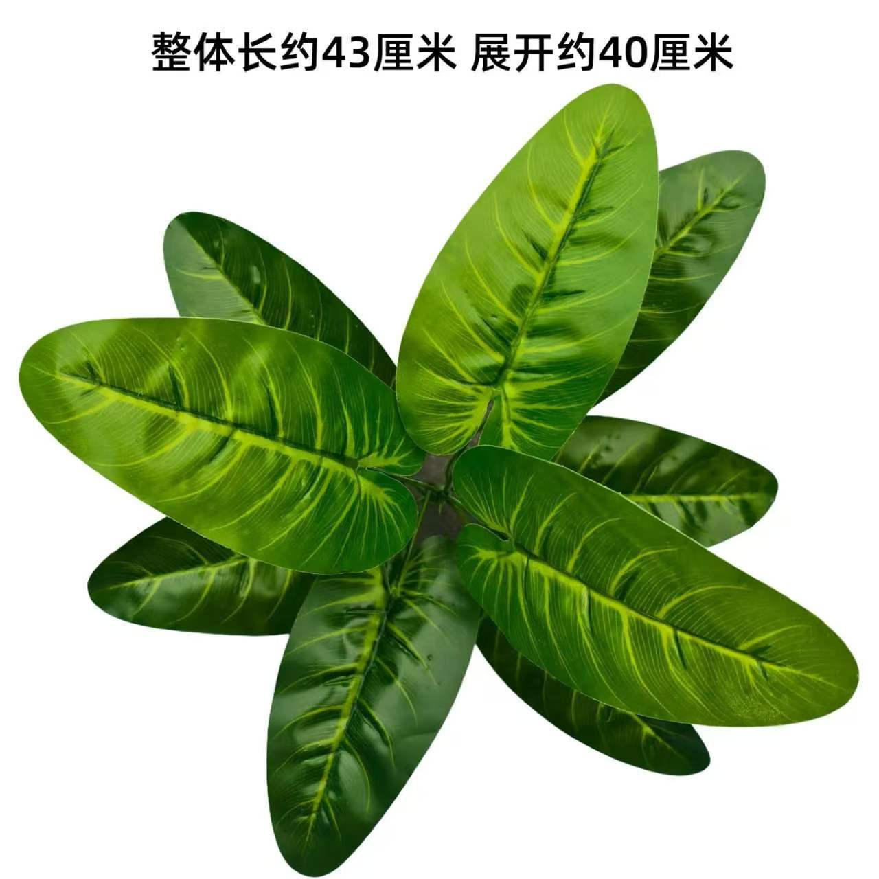 Nine-pronged large plant new style no. 12