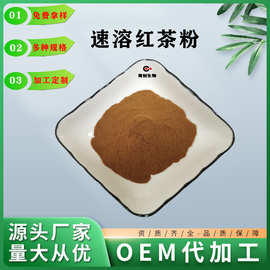 速溶红茶粉香气好 冷溶型液体饮料 口感好 茶多酚 茶褐素现货供应
