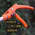 摘果器摘果摘採果器摘柿リンゴヘチマキュウリリンゴブドウ桃摘果摘採器長切|undefined