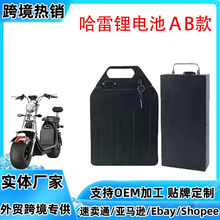 ��ˮ�⚤�늳�60V12Ah����̤��܇����܇AGV�Ħ�ƿ48V�ɲ�ж