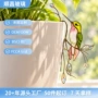 定制盆栽彩色玻璃花盆