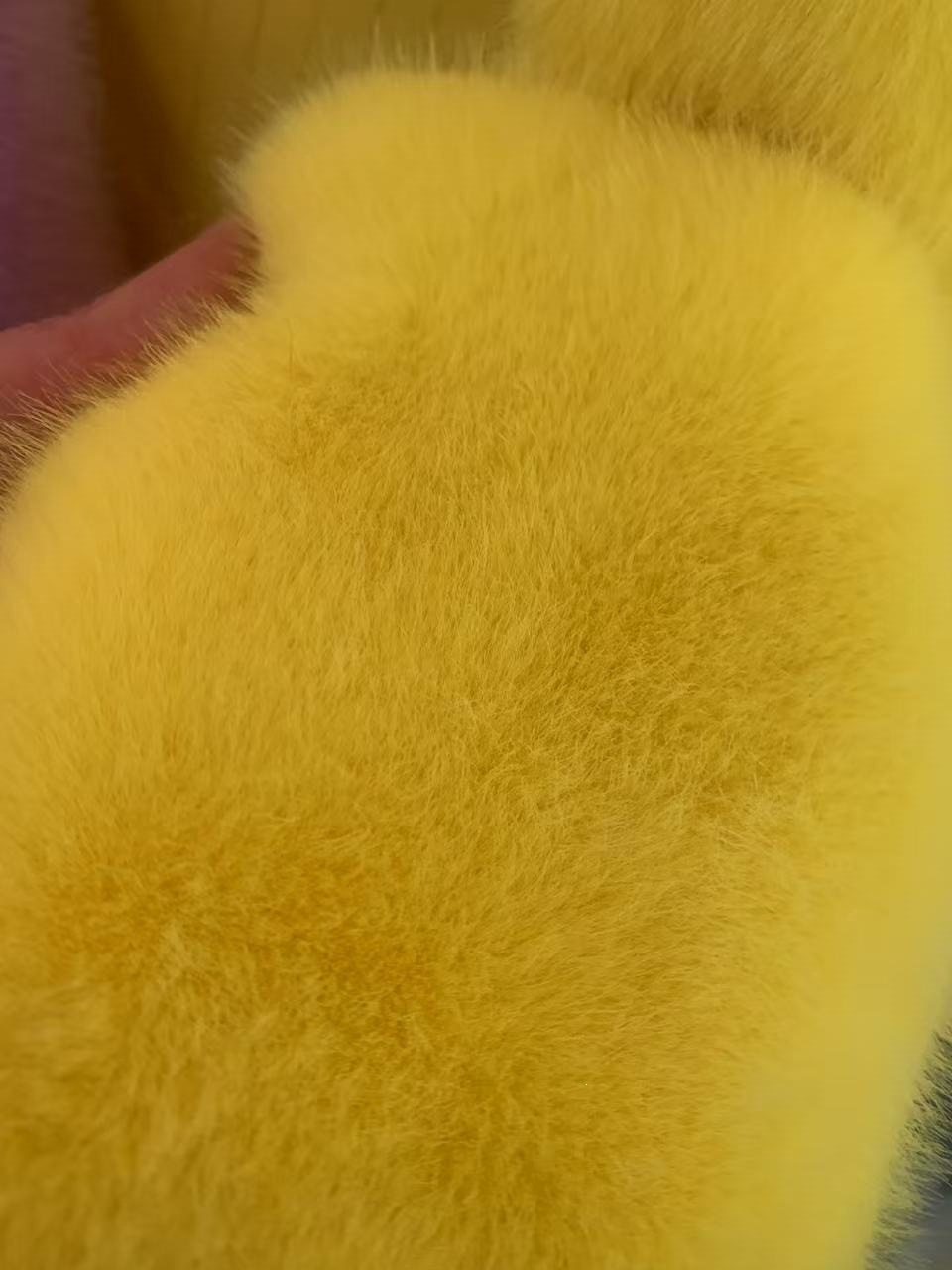 微信图片_20250329202815
