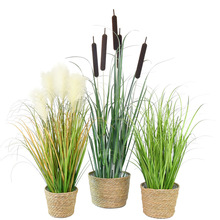 树猫高仿真芦苇 香蒲 水蜡烛盆栽假花狗尾巴草蒲草家居装饰防真花