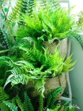 ģ�M��˹�~ާٻ��G�~��Yܛ�b廨����������b�