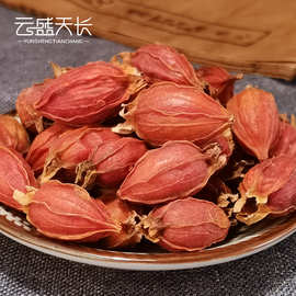 栀子 中药材江西山栀子红黄枝子果干货 大栀子茶批发