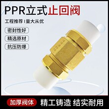 PPR���ֹ���y 20��63����ʽ���ɷ������ԁ�ˮ���ß����B���~�y�T