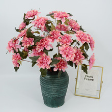 3�^�����Ն�֦��c�������÷��滨���l���T�����������廨����