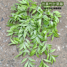 �F؛���l���~����ϵ�з���Gֲ�ϱ�Ʒ�N���~ͥԺ�쾰���Է���Gֲ