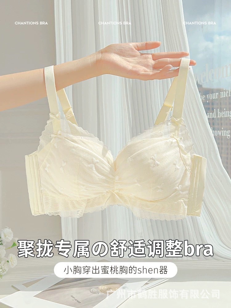 Venta directa de fábrica comercio electrónico transfronterizo Sudeste de Asia Vietnam Tailandia damas sin costuras sujetador de recogida lateral cómodo