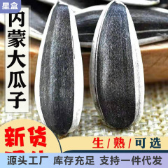 新鲜炒熟原味大颗粒新货生瓜子内蒙古葵花籽坚果炒货零食散装大袋