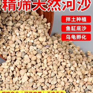 ��ɳ�����Y�ֺ�ɰ�������ʯ�����m�����w���Nֲ�B���~���쾰��ɰ