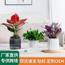 ��������ˮ����ˮ�໨�����Ϙ�֬͸��С�Gֲ����G�}��������m��