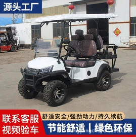 高尔夫球车;电动观光车;其他电动车