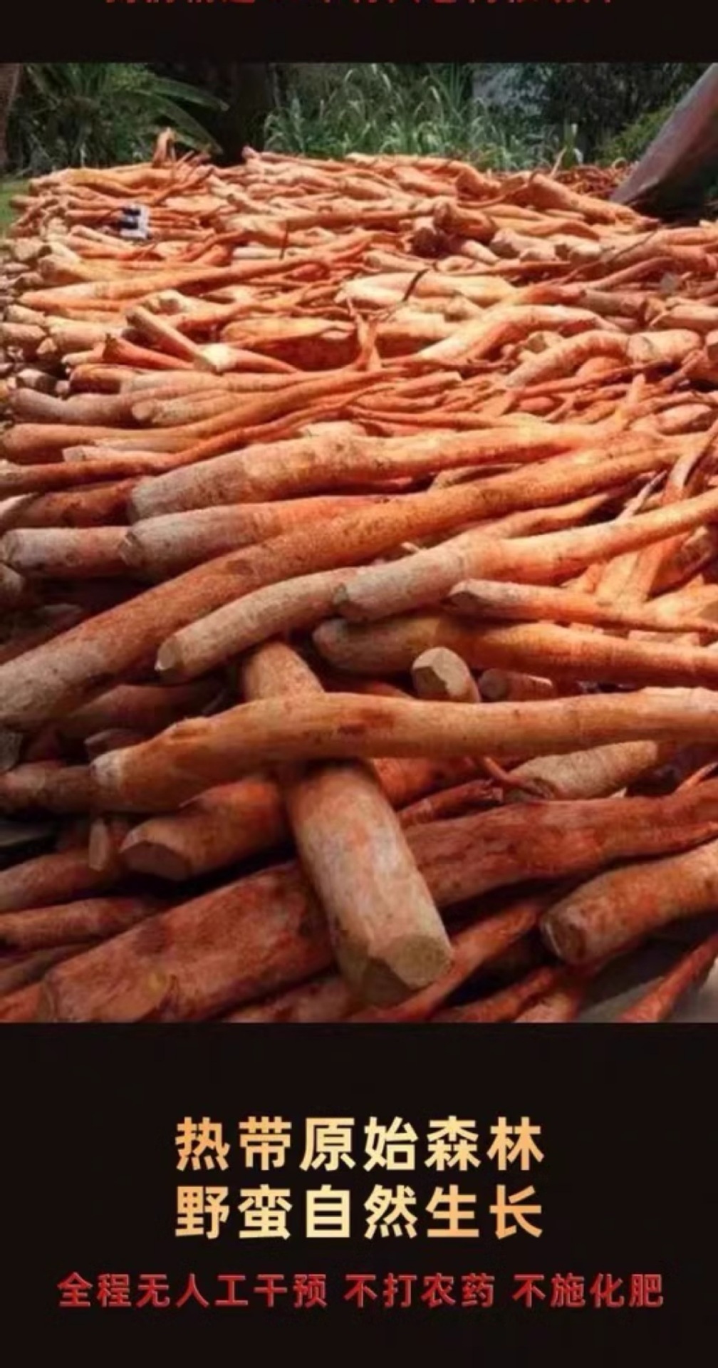 Tongkat Ali Root Slices Dong Ge A Li 500g Wild-Cut Yellow Slices for Decoction and Culinary Use key features