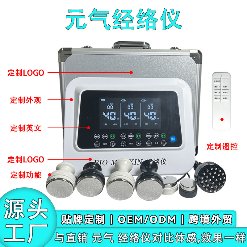 元気猫植経絡器高周波生物電気パルス疎通理学療法養生器マッサージ灸誘導体調理器|undefined
